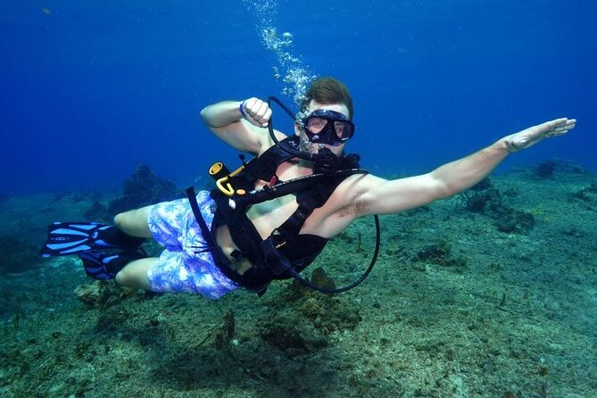 1 Tank Guided Shore Dive Including Equipment - Key Highlights I Think Are Worth Your Attention