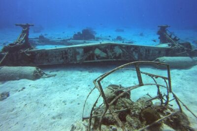 1 Tank Guided Shore Dive Including Equipment - How the 1-Hour-30-Minute Timing Feels Underwater