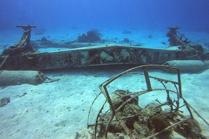 1 Tank Guided Shore Dive Including Equipment - How the 1-Hour-30-Minute Timing Feels Underwater