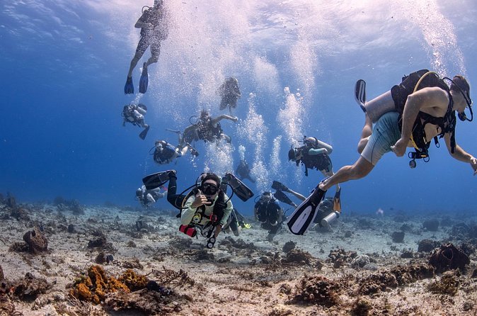 2 Tanks dives for Certified Divers in Cozumel - Second reef site: getting a different view, not just more time