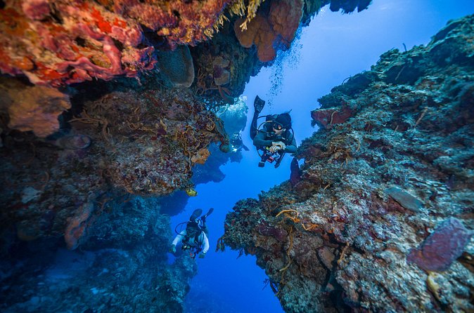 2 Tanks dives for Certified Divers in Cozumel - Group size and what it means for your day