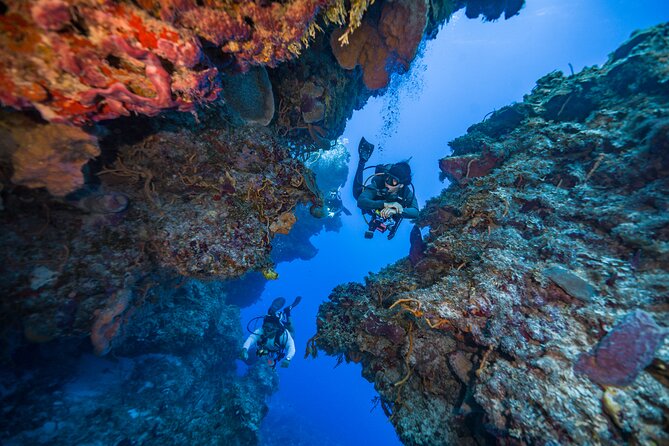 2 Tanks dives for Certified Divers in Cozumel - Timing, expectations, and how to plan the rest of your day