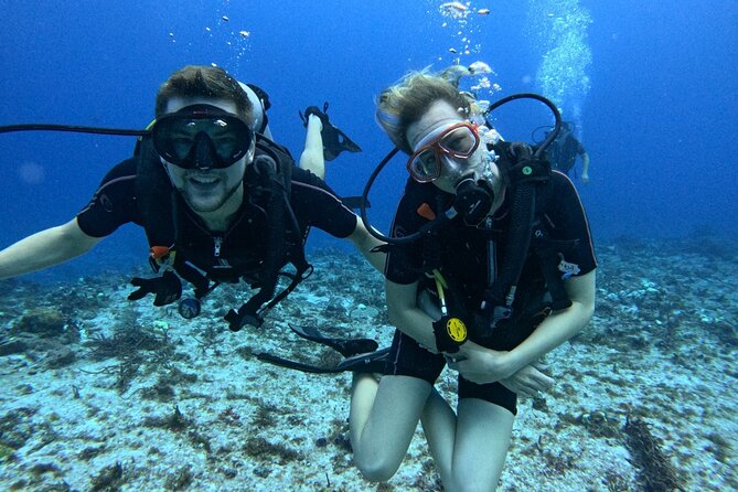 2 tanks for certified divers - Key Things That Make This Cozumel Reef Pair Worth It