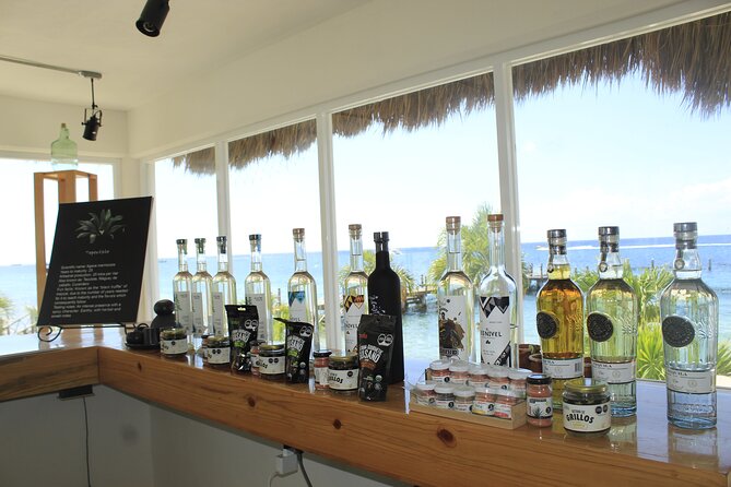 3-Hour Small-Group Mezcal and Tequila Tasting activity from Cozumel - The actual tasting: what you’ll compare and why it matters