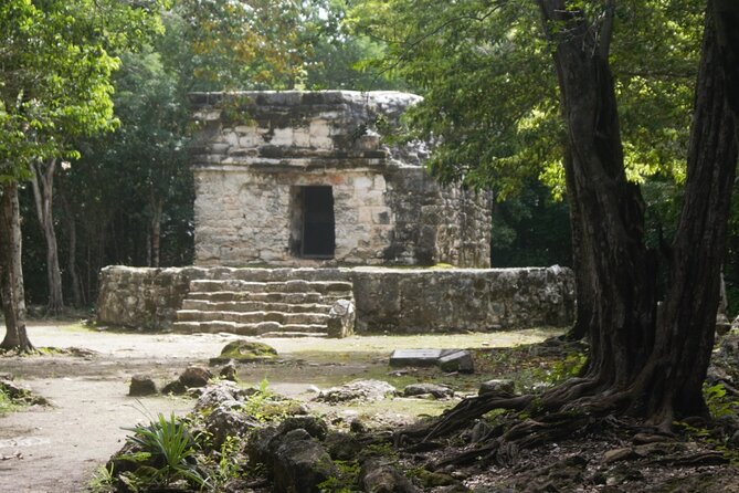 Amazing Jeep Tour Visit Punta Sur Park and San Gervasio Ruins - Playa Publica San Martín: A Quick Beach Pause That Feeds You