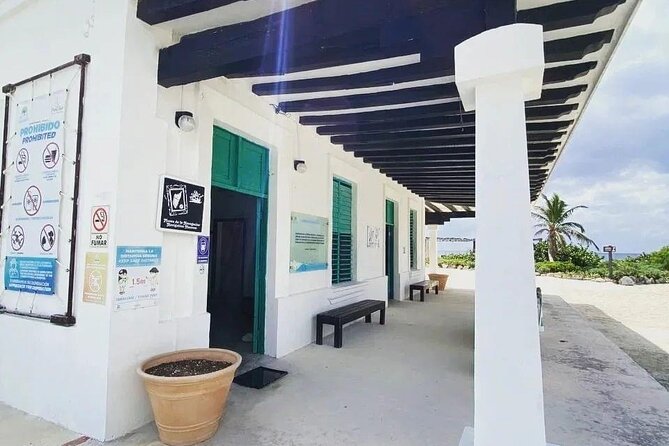 Amazing Jeep Tour Visit Punta Sur Park and San Gervasio Ruins - Skyreef Beach Club: Snorkeling for Reef Views Without the Hassle