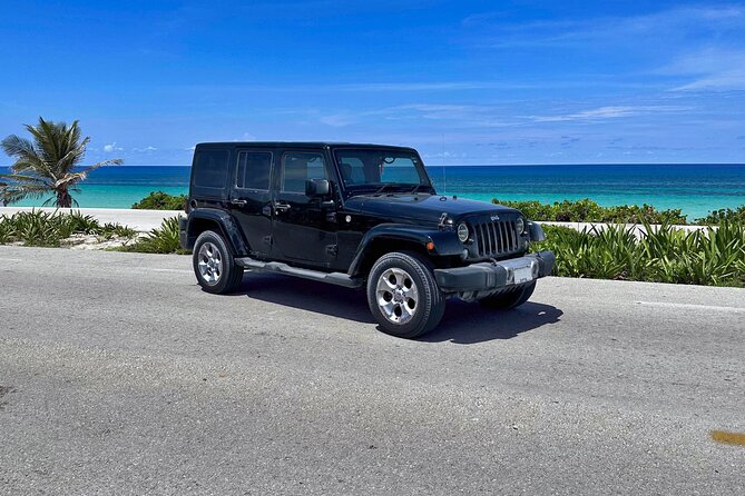 Amazing Jeep Tour Visit Punta Sur Park and San Gervasio Ruins - Price and Value: $95 Plus Paid Entrances