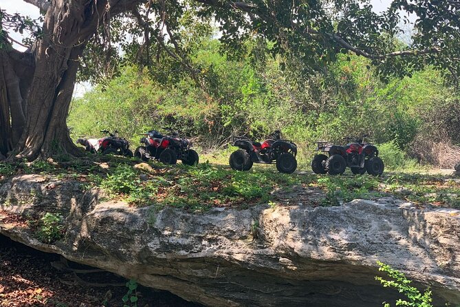 ATV Jungle Adventure to Hidden Mayan Ruins and Caves - Getting There: Pickup From Cruise Ports and Hotels