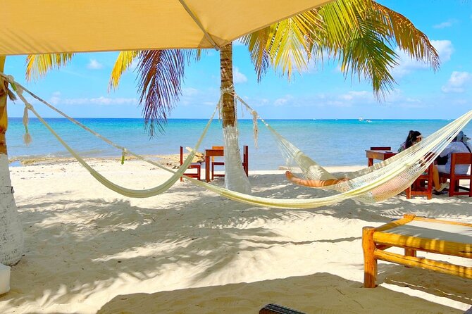 Authentic Cozumel Island Tour - Best Sights & Mayan Experience - Timing, Comfort, and Trust: What to Watch Before You Board