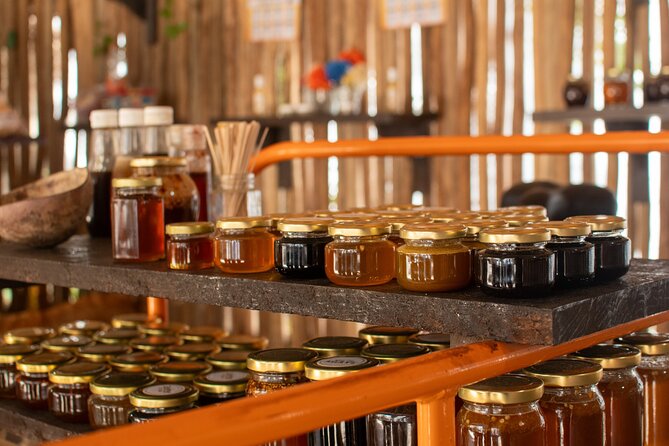 Best Island tour (dowtown, Beach, mayan Park & tastings) - Pacing, transport, and comfort: what to expect on the road