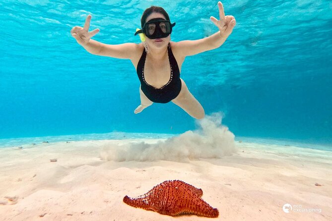 Boat Tour to Heaven in Cozumel with Ceviche - How the 30–60+ minute boat ride fits into your snorkeling day