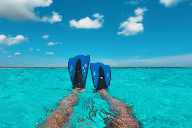 Catamaran in Cozumel with snorkeling at El Cielo and open Bar - Stop Two: El Cielo Starfish Sanctuary (About 20 Minutes)