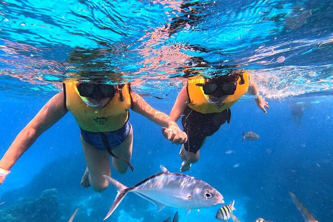 Catamaran in Cozumel with snorkeling at El Cielo and open Bar - Stop Three: El Cielito Shallows and Manta Rays (40–60 Minutes)