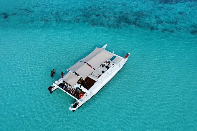 Catamaran Snorkeling to El Cielo and The Money Bar Beach Club - Key things worth knowing