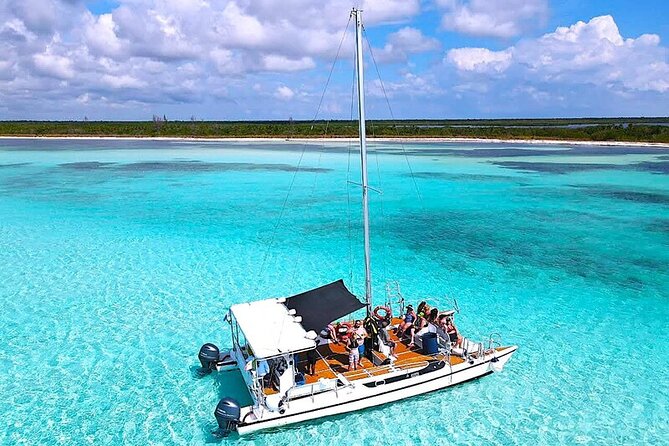 Catamaran Snorkeling to El Cielo and The Money Bar Beach Club - Getting to the reef: catamaran comfort, pace, and crew attention
