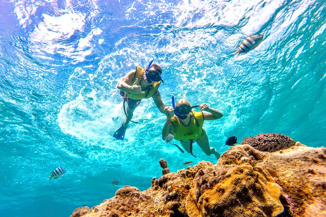 Catamaran Snorkeling to El Cielo and The Money Bar Beach Club - Playa El Cielo: starfish sands and the shallow-water magic