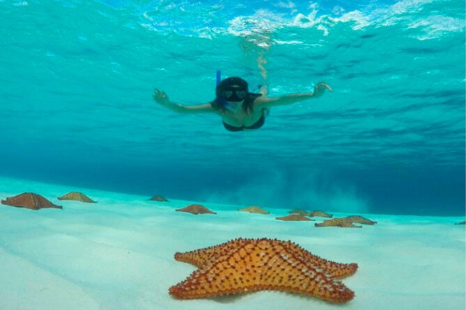 Catamaran Snorkeling to El Cielo and The Money Bar Beach Club - Price and value: the real cost of this catamaran day