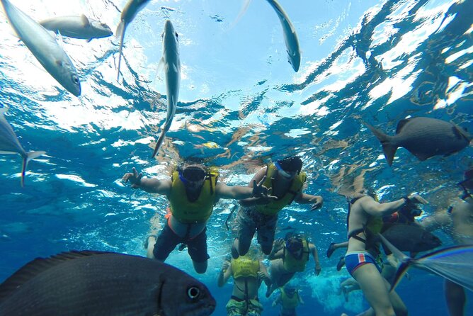 Catamaran Snorkeling to El Cielo and The Money Bar Beach Club - Practical tips for a smoother snorkel day in Cozumel