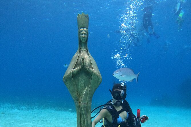 Chankanaab Park Admission +Snorkeling + Lunch included - Chankanaab Park: a smart pick when your Cozumel day is limited