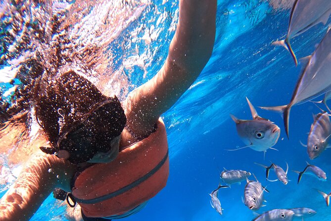 Chankanaab Park Admission +Snorkeling + Lunch included - Your day at Chankanaab: from beach chairs to snorkeling zones
