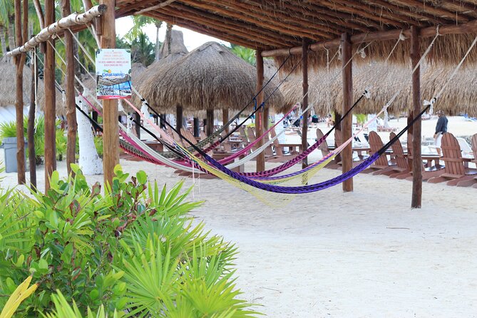 Chankanaab Park Admission +Snorkeling + Lunch included - Who this tour suits best (and who might want a different style)