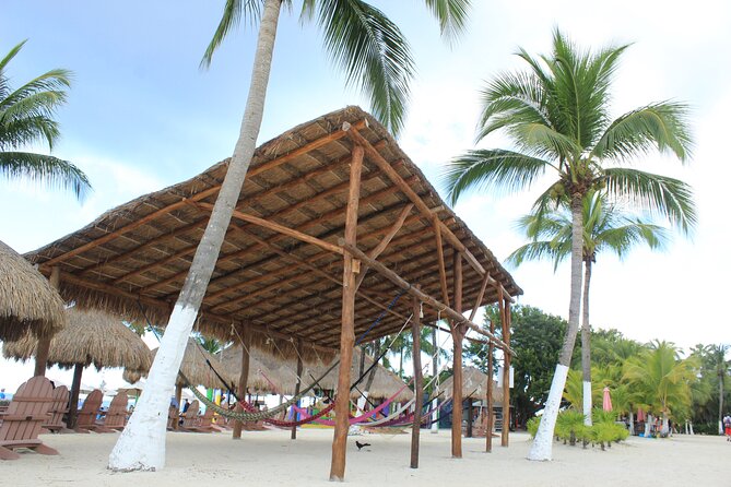 Chankanaab Park Admission +Snorkeling + Lunch included - Getting the most out of your snorkeling time