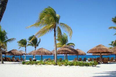 Chankanaab Park and Island Tour by Buggy with Mexican Lunch - Stop 1: Royal Village Shopping Center check-in (where you get your bearings fast)