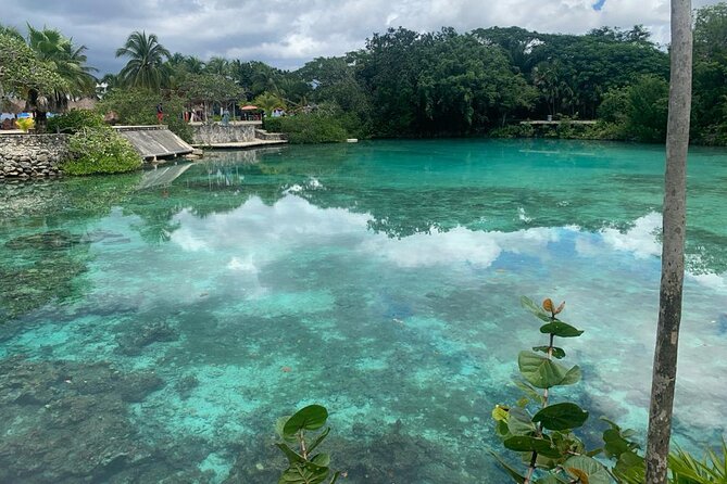 Chankanaab Park and Island Tour by Buggy with Mexican Lunch - Lunch by the beach: what you get and how to choose
