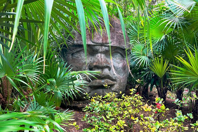 Chankanab Park Admission +Open bar +Lunch included +Snorkeling - Stop 2: Chankanaab Reef snorkeling and the underwater sculpture factor