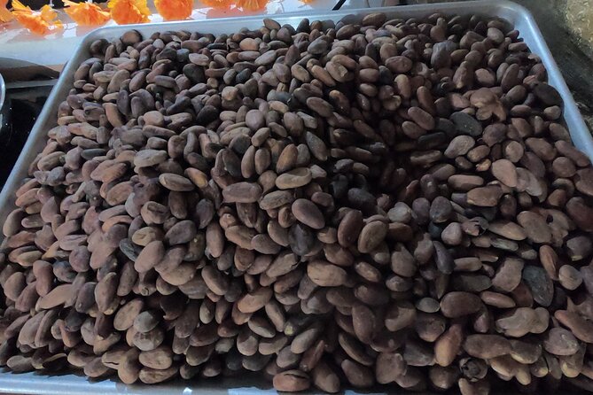 Chocolate Tasting & mayan Presentation - Price and value: does $82 make sense for a 4-hour day?