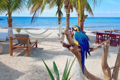 Clear Boat and Island Tour by Buggy with Mayan Experience - Stop 2: Otoch Mayan Experience, Ritual Participation, and Tastings