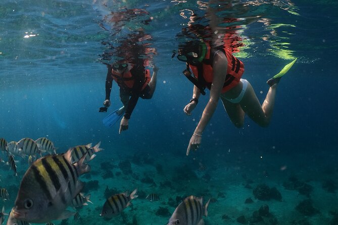 Clear Boat & Snorkel Cozumel Tour with Drinks - Cozumel Waters at the UNESCO Biosphere Stop