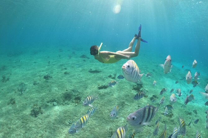 Clear Boat & Snorkel Cozumel Tour with Drinks - Safety and Fit: Who This Tour Works For