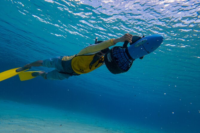 Clear Kayaking, Sea Scooters Adventure - It Feels Built for Cruise Days: Timing, Pacing, and Returning Easy