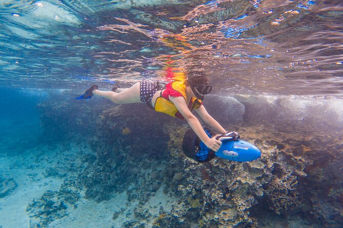 Clear Kayaking, Sea Scooters Adventure - Price and Logistics: Small Group Feel Without Overkill