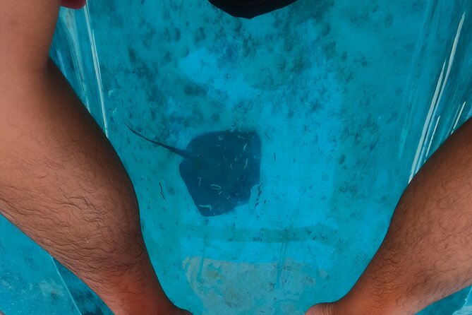 Clear Kayaking, Sea Scooters Adventure - Who This Tour Suits Best