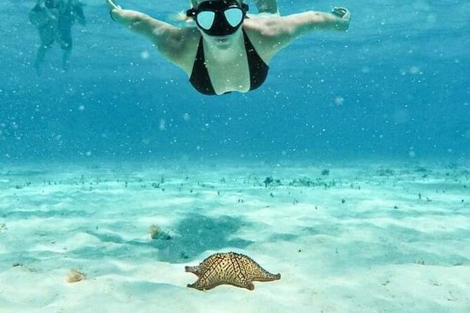 Cozumel 4 Hour Boat Sky Tour - Key things that make this tour worth a look