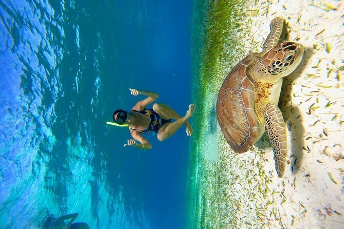 Cozumel 4 Hour Boat Sky Tour - Gear and what to actually expect in the water