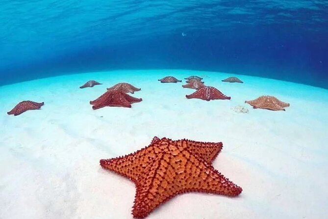Cozumel 4 Hour Boat Sky Tour - Price and value: where $68.39 makes sense (and where it doesn’t)