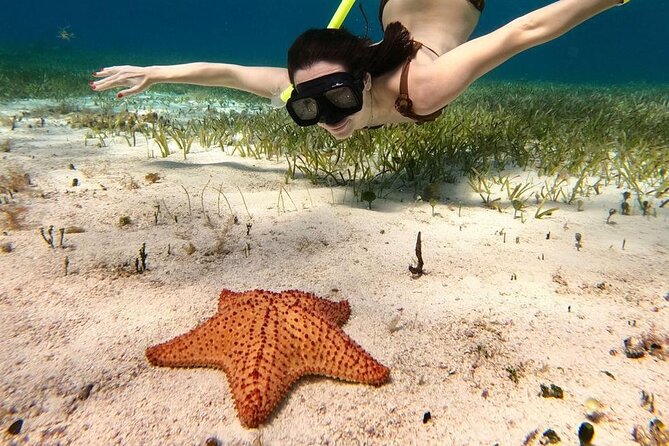 Cozumel 4 Hour Boat Sky Tour - Group size: why small helps your snorkeling