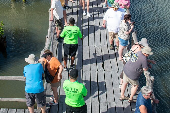 Cozumel 4x4 Adventure Punta Sur and Virgin Beach All Inclusive - Flora and fauna: spotting birds, sea turtles, and endemic wildlife