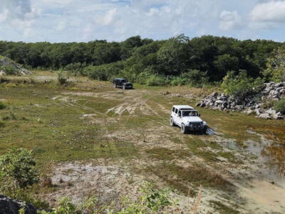 Cozumel: 5-Hour Private Caves and Ruins Tour with Lunch - Tequila Museum at the hacienda: history first, tasting second
