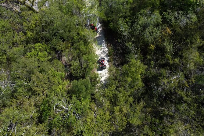 Cozumel ATV Jungle Small Group Guided Ride - Key Things I’d Mark as Highlights