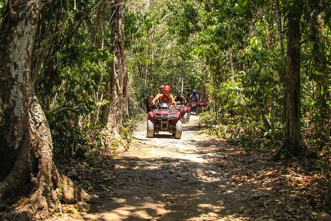 Cozumel ATV Tour & Beach Break - Should You Book This Cozumel ATV + Beach Break?