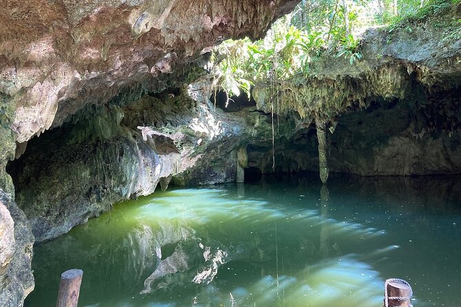 Cozumel ATVs, El Cedral Ruins, Cenote Jade, and Tequila - Who this tour fits best