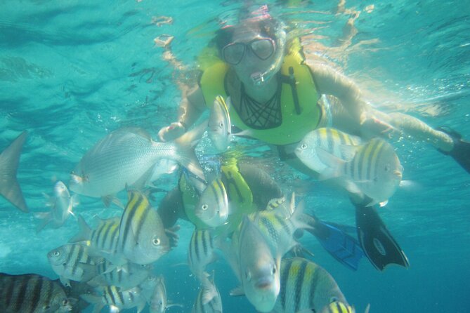 Cozumel Beach + Snorkeling Time - Carlos’N Charlie’s Lunch: Real Mexican Plates, Not a Snack