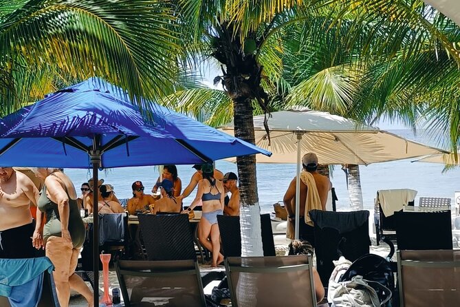Cozumel Best Spots (Beach-Mayan Park-Downtown) - Should you book the Cozumel Best Spots tour?