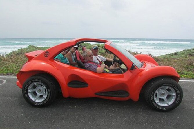Cozumel Buggy Island Tour, Otoch Mayan Experience & Clear Boat - Lunch and Drinks: What’s Included, What You Might Buy