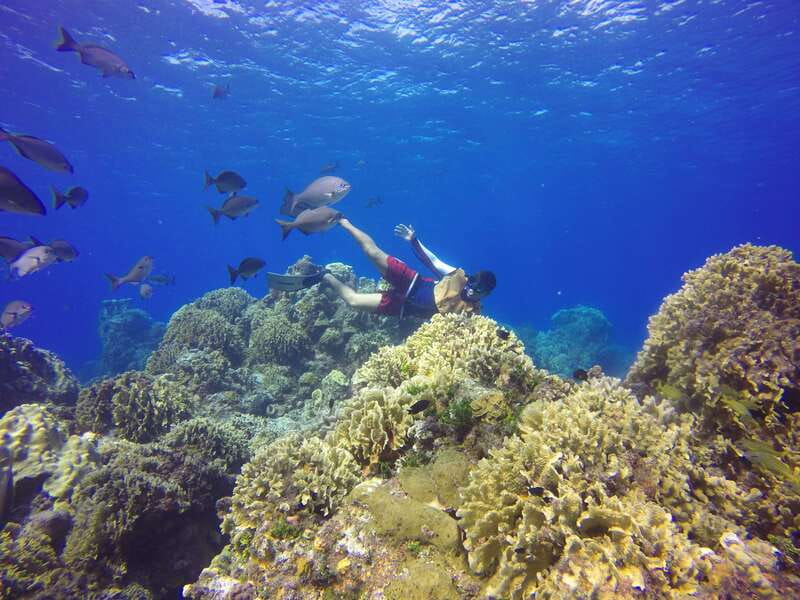 Cozumel: Catamaran, El Cielo Bay & Palancar Reef with Lunch - Who this tour fits best (and who should skip it)
