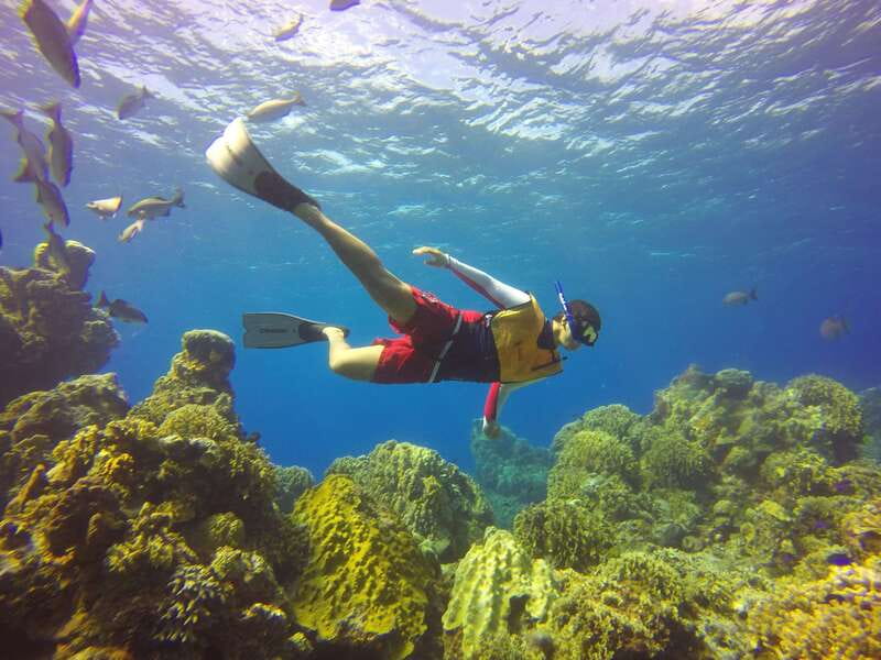 Cozumel: Catamaran, El Cielo Bay & Palancar Reef with Lunch - A catamaran day that mixes reef time with real island culture